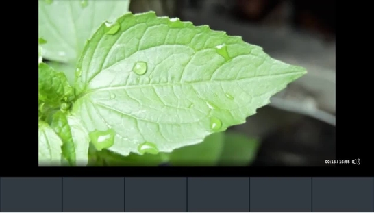 Rec- Jul 19, 2022 1:37 PM - Meeting Room meeting 2.mp4