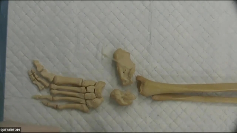 Thumbnail for CPE General Surgical Anatomy Course 2019 - final session - revision