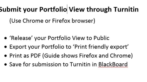 Thumbnail for QSeP ePortfolio View PDF Export for Turnitin