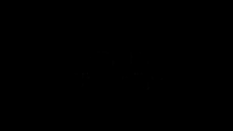 Thumbnail for What is humanity?: Racism - Digital Narrative